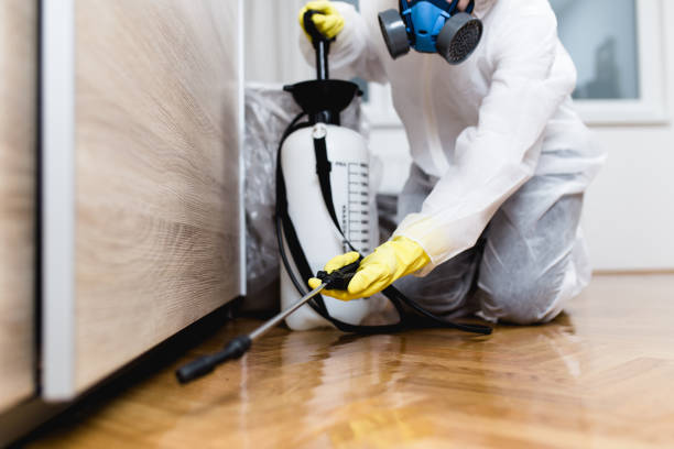 Best Affordable Pest Control Services  in Nederland, CO